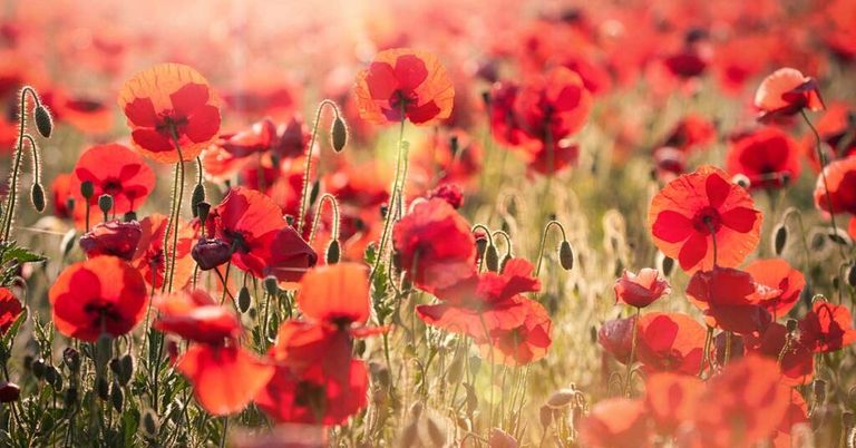 Erbimmobilie – worauf muss ich beim Verkauf achten?