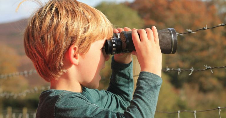 Ihr Schlüssel zur eigenen Immobilie: Der Suchauftrag