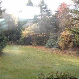 Wohlfühlen im Walmdachbungalow