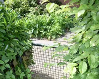 rückwertiger Gartenzugang