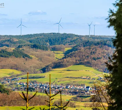 Jetzt neu: Haus zum Kauf in Seidenbuch