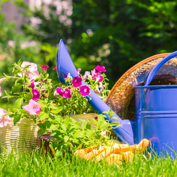 Weniger Gießen, mehr Nachhaltigkeit: Tipps für den Frühling