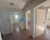 DG
