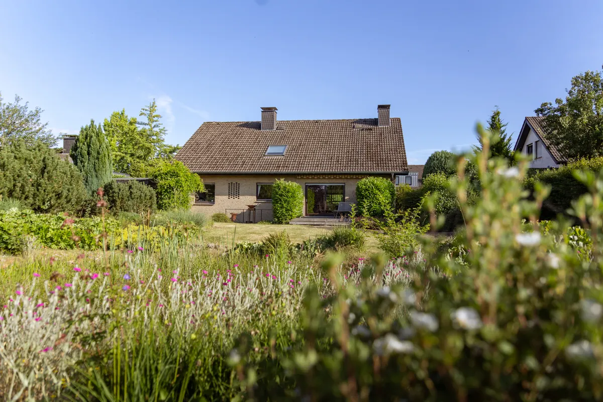 Garten hinten