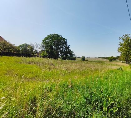 Jetzt neu: Grundstück zum Kauf in Uckerfelde