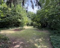 Blick in den Garten 1