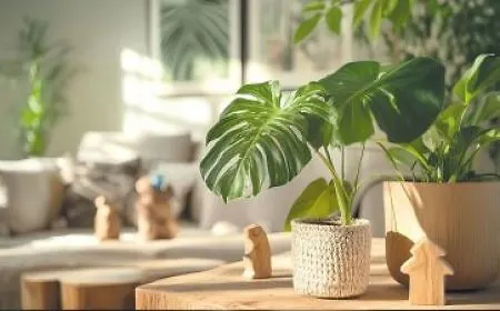 1759389435_Pflanzen-Wohnraum