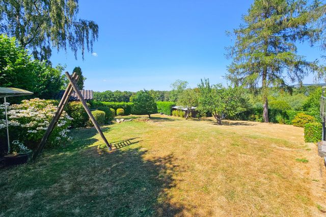 Blick in den Garten