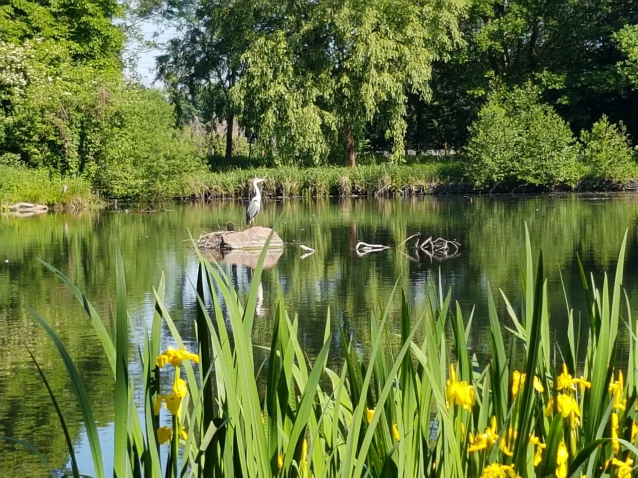 Weltstadt im Grünen 