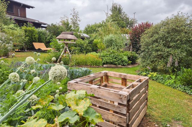 Blick in den Garten