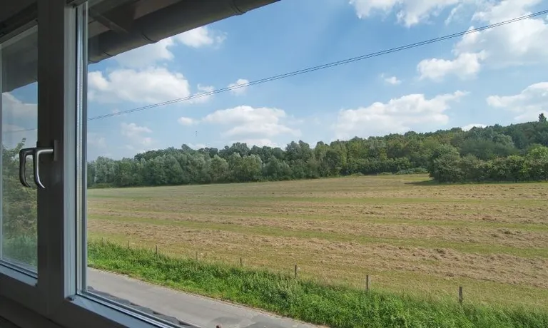 Ausblick