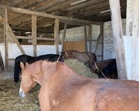 Ansicht Offenstall 2