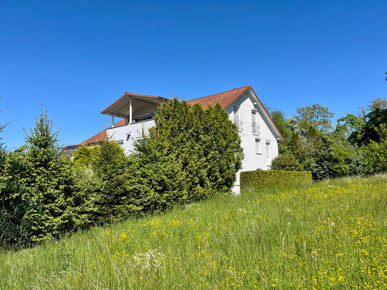 Daniel Zell Immobilien