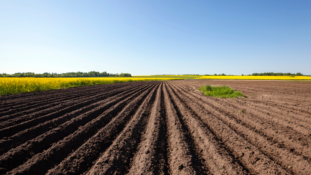 Bodendegradation Landwirtschaft: Europas Acker tanzt auf dünnem Eis
