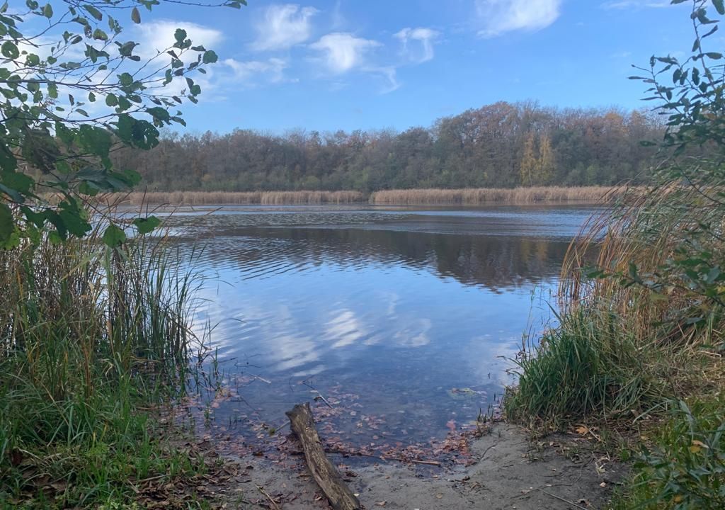 „Traumhaft……großzügiges idyllisches Fleckchen Erde am Bohnenländer See“ Haus mit Scheune und sehr viel Land !!!