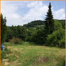 Baugrundstück in Seeheim-Jugenheim (Balkhausen)