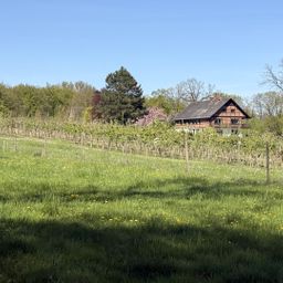 10 ha Paradies – Landhaus in traumhafter Alleinlage zu verkaufen