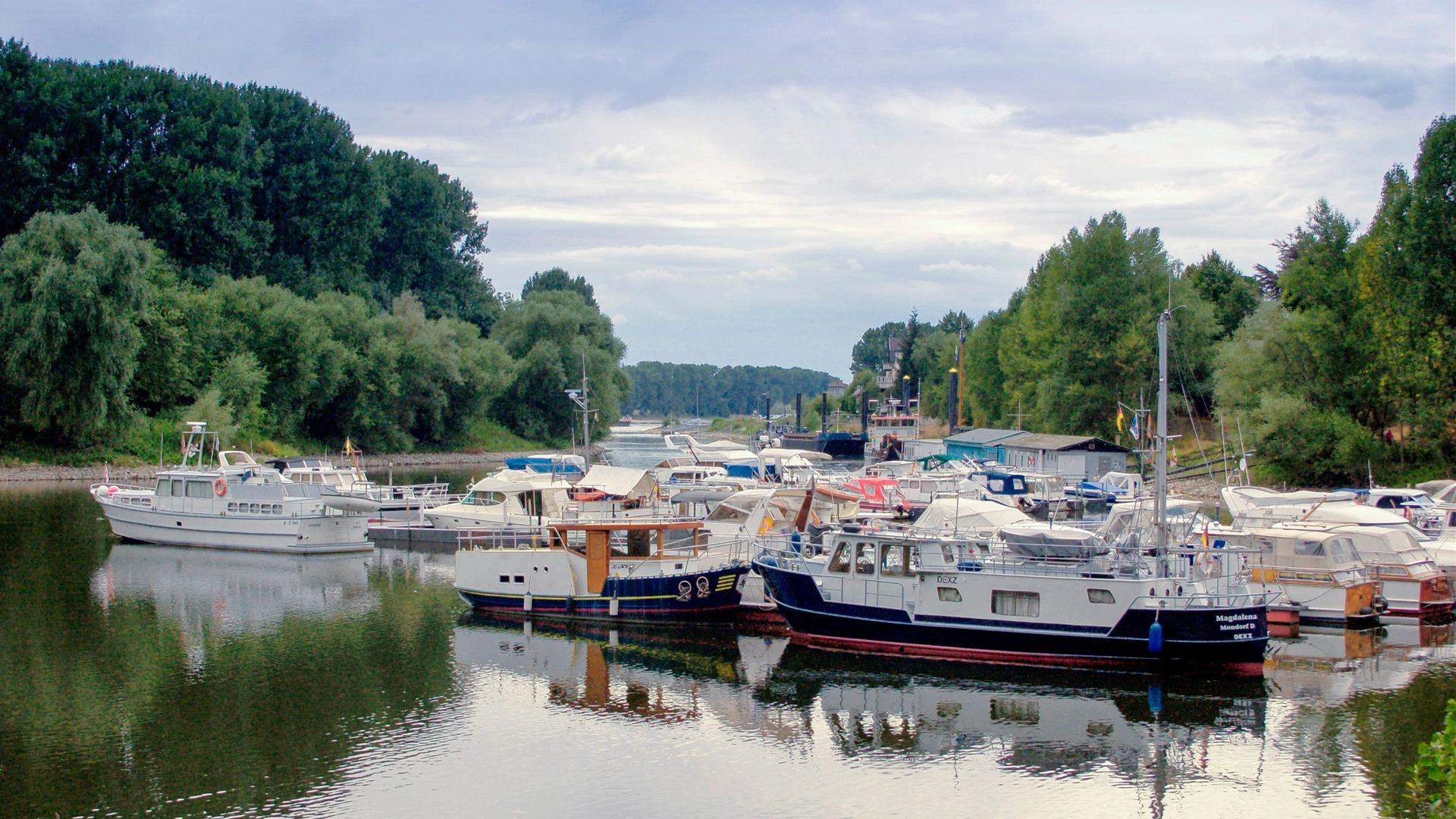 Rheinufer bei Niederkassel im Rhein-Sieg-Kreis