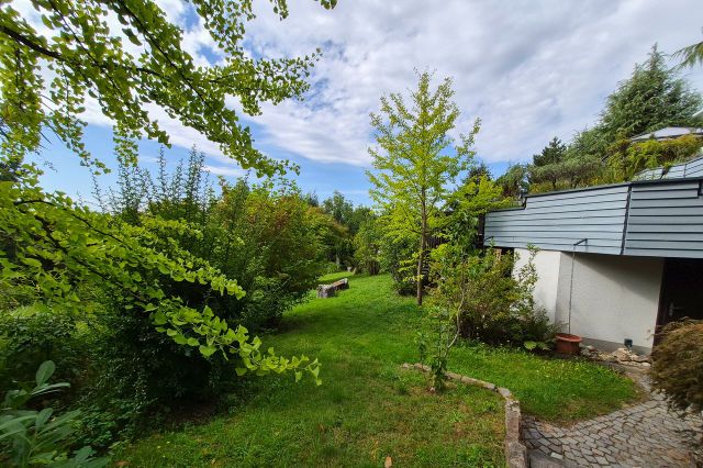 Blick in den Garten