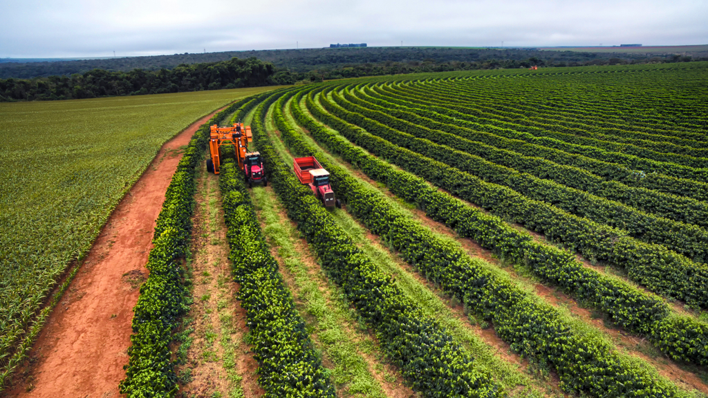 Alternative Einkommensquellen für Landwirte: Von Direktvermarktung bis Agrotourismus