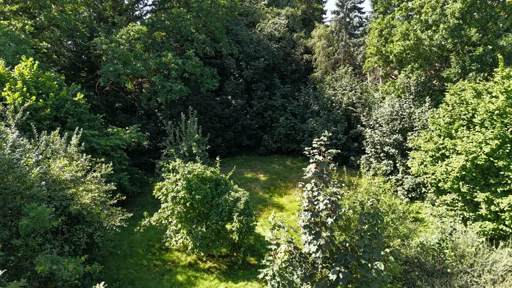Der grüne Gartenbereich