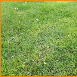 Grünland zu verkaufen !