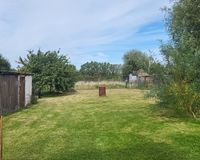 Blick vom Haus zum Grundstück