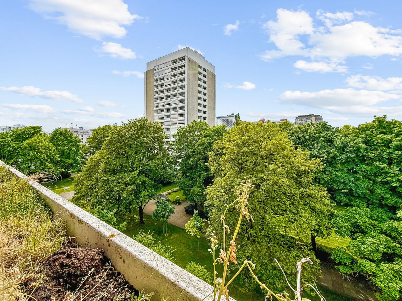 Ausblick ins Grüne