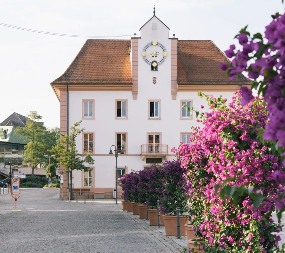 Repräsentative Lage mit gepflegtem Umfeld