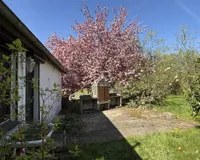 Terrasse - von der Küche aus erreichbar
