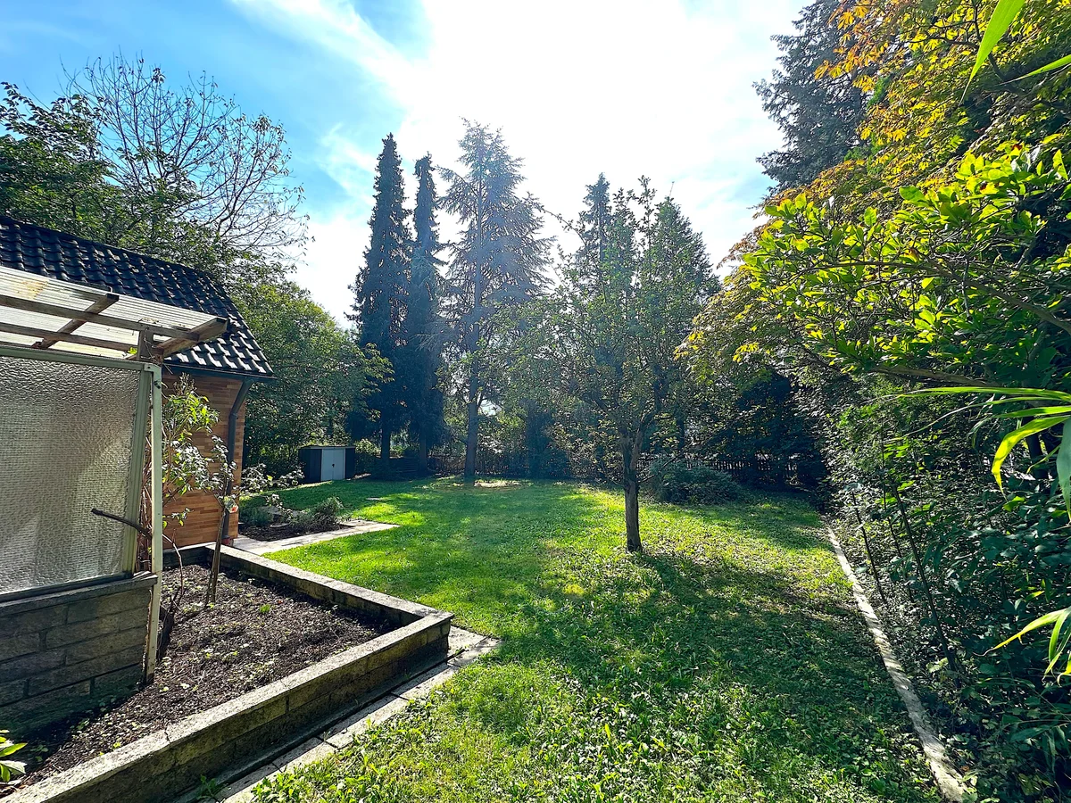 Blick in den Garten