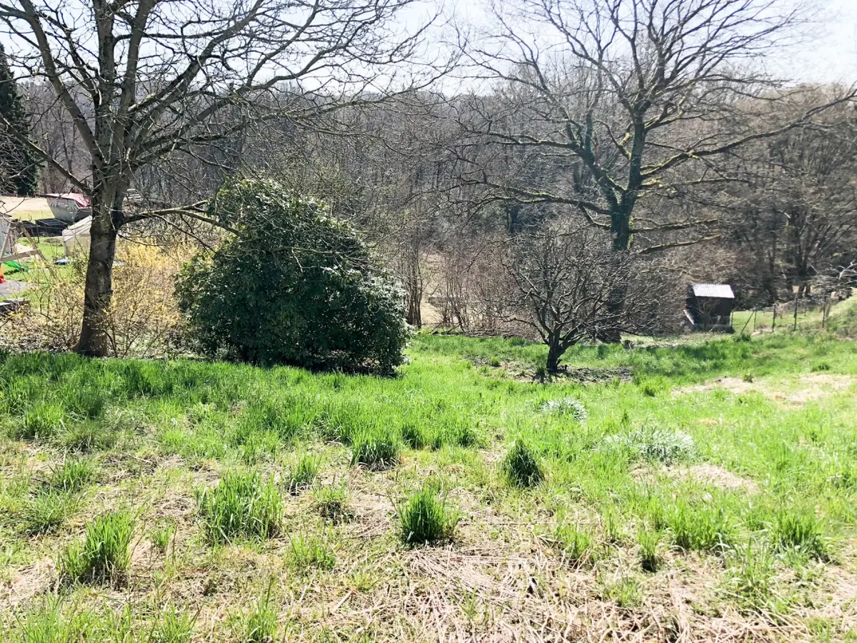 schönes Hanggrundstück mit unverbaubarem Blick, bebaubar mit Keller