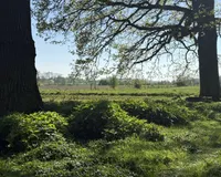 Blick auf Flächen 3