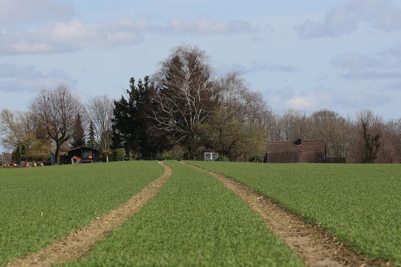 path-4934456_1280