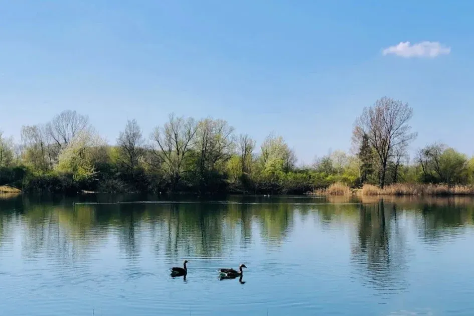 Rotter See in Troisdorf – Naherholungsgebiet