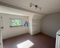 DG