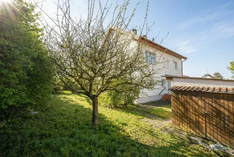 Garten hinter dem Haus