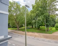 Parkblick