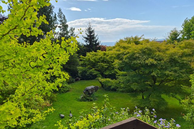 Blick in den Garten