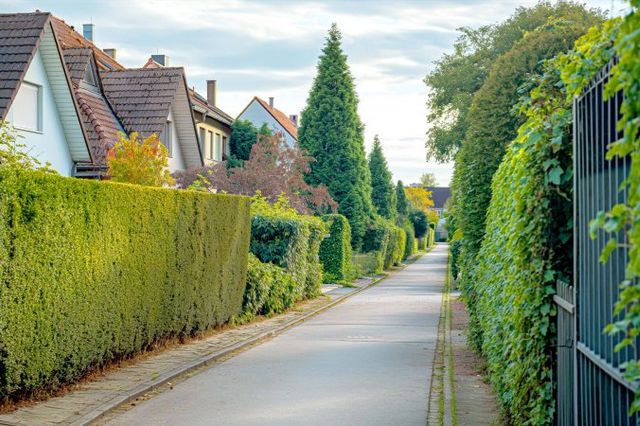 Grenzbebauung und Abstandsregelungen: Was erlaubt ist und was nicht