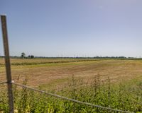 Blick auf die Koppel