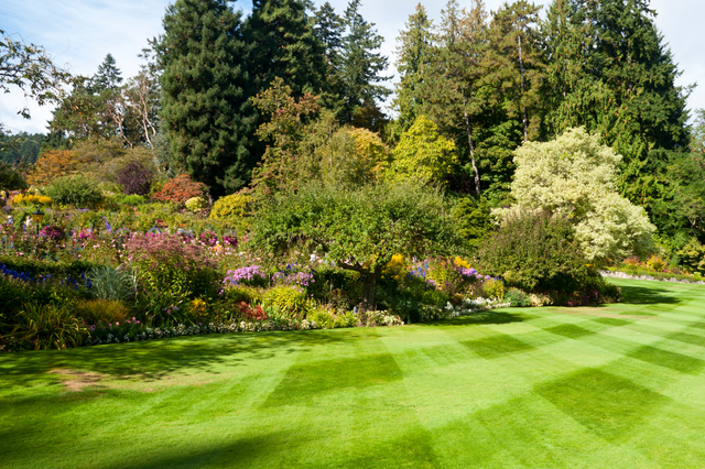 Gartennutzung 2025: Rechte und Pflichten für Eigentümer