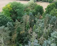 Grundstück