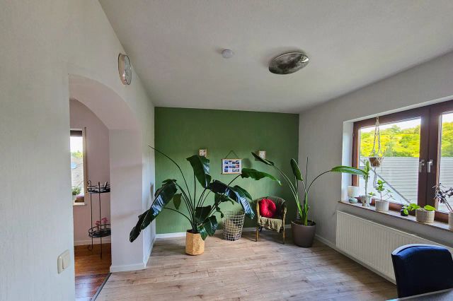 Zimmer EG 