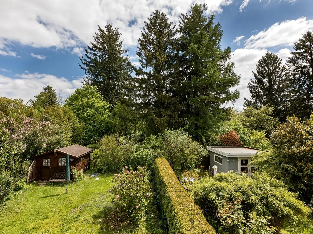 Blick in den Garten