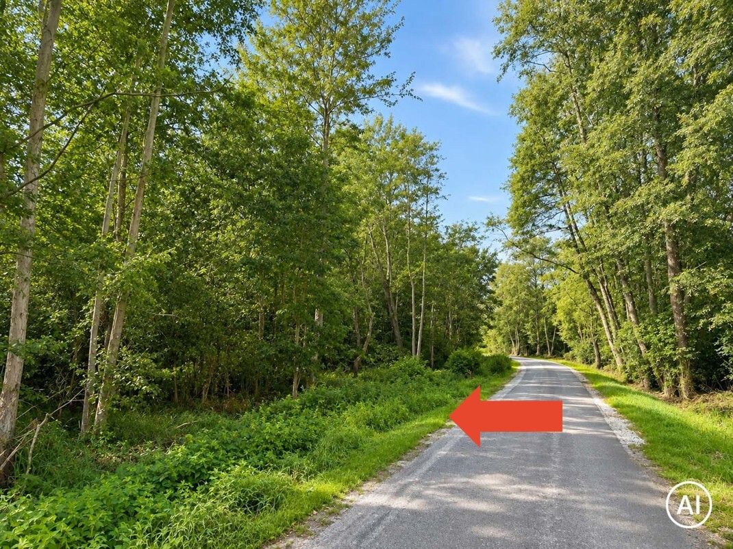 Waldgrundstück