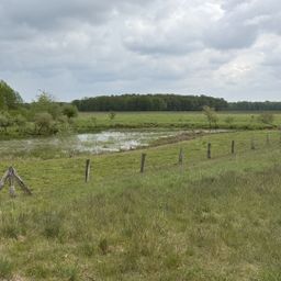 24 ha Grünland/Biotop zu verkaufen