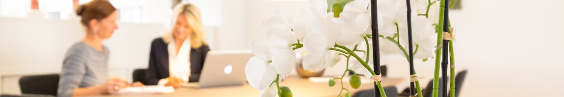 Büro Dybeck Immobilien