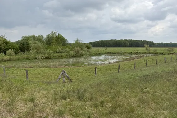 24 ha Grünland/Biotop zu verkaufen