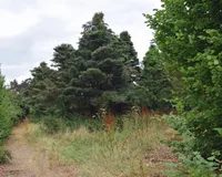 Grundstück